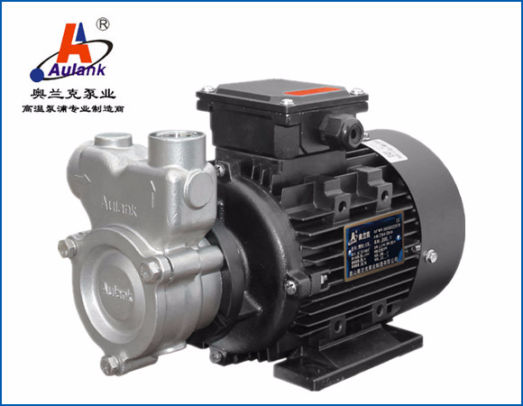 檢測(cè)設(shè)備用導(dǎo)熱油泵